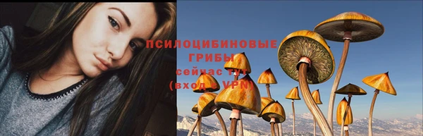 кристаллы Козловка