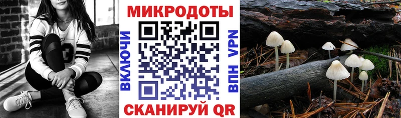 ОМГ ОМГ tor  Клинцы  Псилоцибиновые грибы прущие грибы  даркнет формула  где продают наркотики 